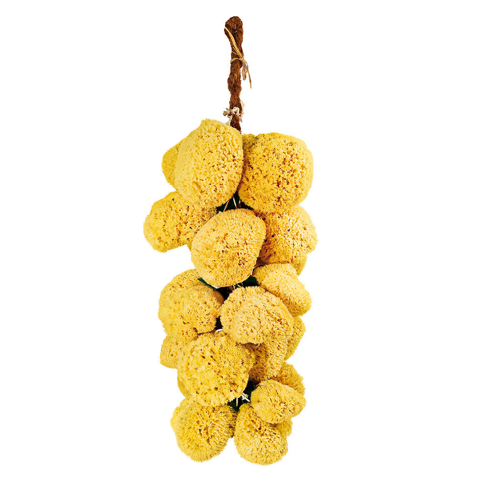 Eco wellness za tvoju kožu: zašto su prirodne spužve i četke vrijedne promjene