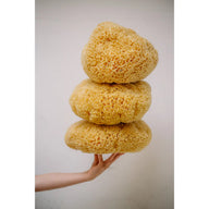 Održiva prirodna morska spužva ( veličina M )