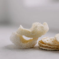 Jastučići za lice izrađeni od lufe (loofah krastavca)