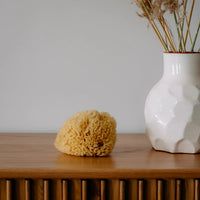 Održiva prirodna morska spužva ( veličina M )